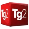 Logo TG2